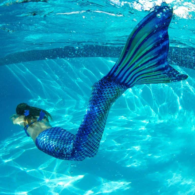 Queue de sirène de mako piscine